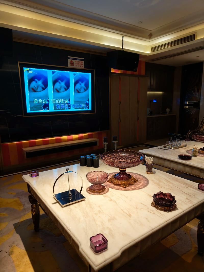 铁岭商务KTV：新鲜商务ktv尽情畅游-清河区ktv预订